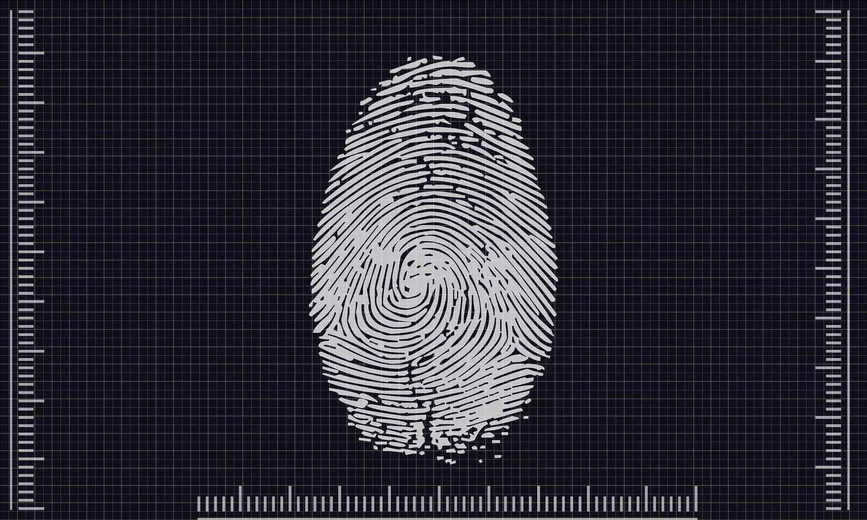 How might Your Business Benefit from Biometric Authentication?